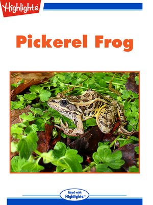 cover image of Nature Watch: Pickerel Frog; Spot the Imposter